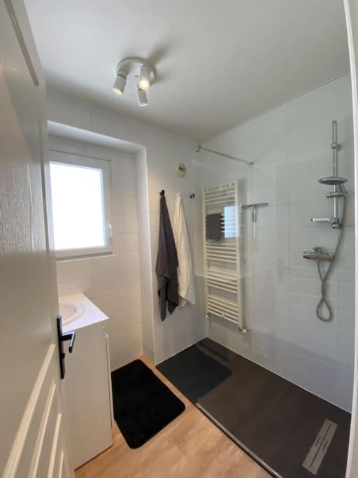 Magnifique Appart Renove Evian Duplex Vue Lac 8 Pers Buitenkant foto